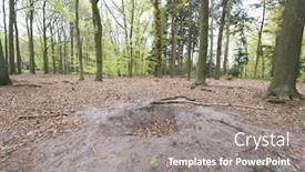  Presentation with animals - Amazing PPT theme having hole in the forest as grave or drinking place for animals backdrop and a gray colored foreground