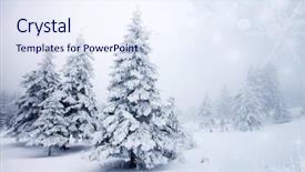  Presentation with holiday - Slide set consisting of holiday - christmas background with snowy fir background and a sky blue colored foreground