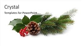  Presentation with pine cone - Presentation theme with holiday - christmas decoration of holly berry background and a white colored foreground