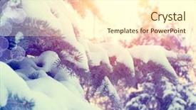  Presentation with pine trees - Cool new PPT theme with christmas scene holiday background - winter trees with snow winter backdrop and a cream colored foreground