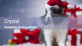  Presentation with bunny - Amazing PPT theme having holiday christmas bunny in santa backdrop and a  colored foreground