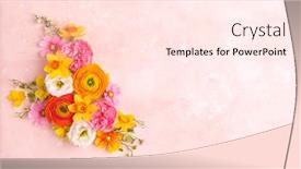  Presentation with pastel pink - Presentation design enhanced with holiday-concept-with-spring-flowers background and a pink colored foreground
