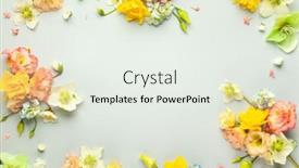  Presentation with pastel - Presentation design consisting of holiday-concept-with-spring-flowers background and a sky blue colored foreground