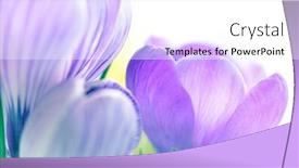  Presentation with floral pastel colors - Beautiful PPT theme featuring holiday-floral-background-first-spring backdrop and a white colored foreground