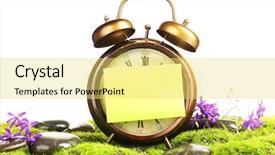  Presentation with moss - Theme having holiday hours sign - summertime old clock on moss background and a yellow colored foreground