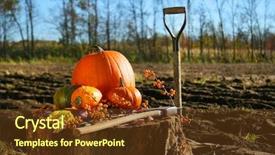  Presentation with harvest festival - Audience pleasing theme consisting of molecular - illustration of gold colour backdrop and a light gray colored foreground
