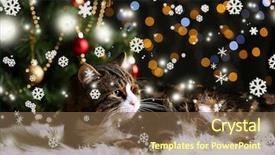  Presentation with christmas cars - PPT theme featuring working on a project nice background and a light gray colored foreground.