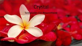  Presentation with resort - PPT theme enhanced with holiday stress - image of resort spa background and a  colored foreground