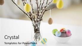  Presentation with holidays - Presentation theme consisting of holidays and object concept - pussy background and a white colored foreground