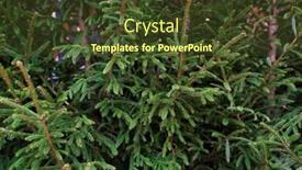  Presentation with christmas sale - Beautiful PPT layouts featuring holidays-and-sale-concept-close backdrop and a tawny brown colored foreground