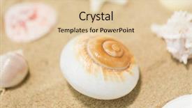  Presentation with holidays - Presentation theme having holidays concept - seashells on beach background and a lemonade colored foreground