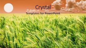  Presentation with holistic - PPT theme featuring holistic health - beautiful sunrise over a green background and a gold colored foreground