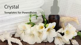  Presentation with bamboo flower - Slide set enhanced with holistic health - spa arrangement of freesia flower background and a light gray colored foreground