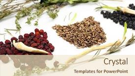  Presentation with holistic - Slides featuring holistic health - traditional chinese herbal medicine ingredients background and a  colored foreground