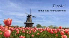  Presentation with gardens - 