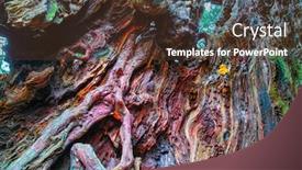  Presentation with tree - Cool new slide set with hollow-in-the-trunk backdrop and a tawny brown colored foreground