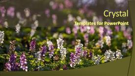  Presentation with czech republic - Slides consisting of hollow-smokestack-corydalis-cava-spring background and a tawny brown colored foreground