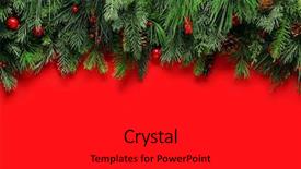  Presentation with christmas holly - PPT theme featuring holly - christmas branches background background and a dark gray colored foreground