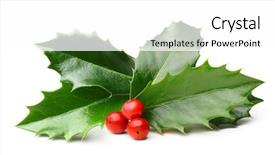 Presentation with christmas holly - Slide deck enhanced with holly berry leaves christmas decoration background and a white colored foreground