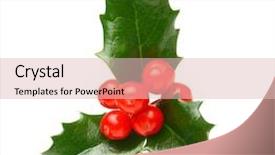  Presentation with christmas holly - Slide deck with holly berry leaves christmas decoration background and a lemonade colored foreground