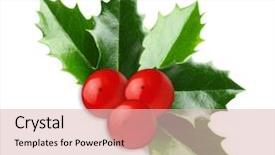  Presentation with christmas holly - Presentation theme having holly berry leaves christmas decoration background and a lemonade colored foreground
