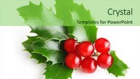  Presentation with christmas holly - Slide deck enhanced with holly berry leaves christmas decoration background and a seafoam green colored foreground