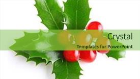  Presentation with holly christmas frame - Colorful slides enhanced with holly berry leaves christmas decoration backdrop and a  colored foreground