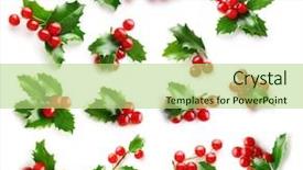  Presentation with holly - Presentation theme having holly berry leaves christmas decoration background and a mint green colored foreground