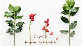  Presentation with holly - Amazing presentation theme having holly-branch-with-red-berries backdrop and a sky blue colored foreground