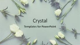  Presentation with gentian - Colorful PPT layouts enhanced with holly flowers on paper background backdrop and a light gray colored foreground