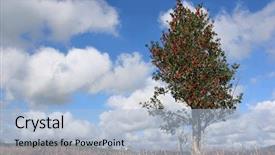  Presentation with holly - PPT theme having  background and a  colored foreground