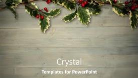  Presentation with holly - 