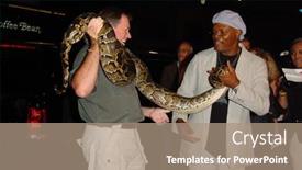  Presentation with theatre - Amazing presentation theme having hollywood-august-17-samuel-l backdrop and a  colored foreground