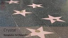  Presentation with fame - Theme featuring close up of a beautiful scarlet macaw on perch background and a gray colored foreground