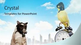  Presentation with holocaust - Audience pleasing PPT theme consisting of holocaust - cat and parrot in gas backdrop and a light blue colored foreground