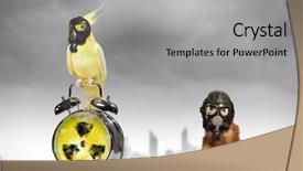  Presentation with ecology - Colorful presentation theme enhanced with holocaust - ferret and parrot in gas backdrop and a light gray colored foreground