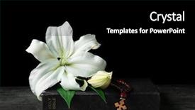  Presentation with easter lily - PPT layouts having holy bible and easter white background and a black colored foreground