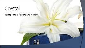  Presentation with easter lily - PPT theme featuring holy bible and easter white background and a  colored foreground