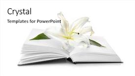  Presentation with easter lily - Colorful presentation design enhanced with holy bible and easter white backdrop and a white colored foreground