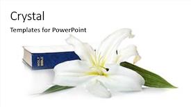  Presentation with easter lily - Slide set enhanced with holy bible and easter white background and a white colored foreground