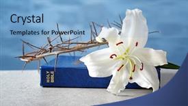  Presentation with crown thorns - Slide set enhanced with holy bible lily and crown background and a light blue colored foreground