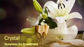  Presentation with holy - Audience pleasing presentation consisting of holy communion a golden chalice backdrop and a tawny brown colored foreground