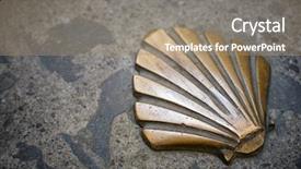  Presentation with shell - Cool new theme with holy gorund - santiago shell close up backdrop and a coral colored foreground