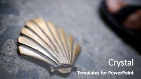  Presentation with shell - Audience pleasing PPT layouts consisting of holy gorund - santiago shell close up backdrop and a gray colored foreground