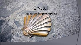  Presentation with shell - Presentation theme having holy gorund - santiago shell close up background and a  colored foreground