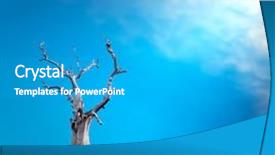  Presentation with mystical - Cool new slides with holy life - sun light through clouds backdrop and a teal colored foreground