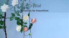  Presentation with home garden - Beautiful theme featuring home-garden-artificial-vines backdrop and a light blue colored foreground