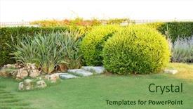 Presentation with home gardening - Amazing PPT theme having home gardening - beautiful landscaping in park backdrop and a seafoam green colored foreground