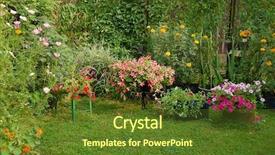  Presentation with home gardening - Slide deck having home gardening - blooming flowers in summer yard background and a tawny brown colored foreground