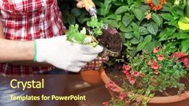  Presentation with garden - Audience pleasing theme consisting of home gardening - florist woman planting at garden backdrop and a tawny brown colored foreground